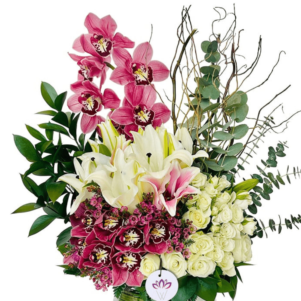 The Blooming Insight