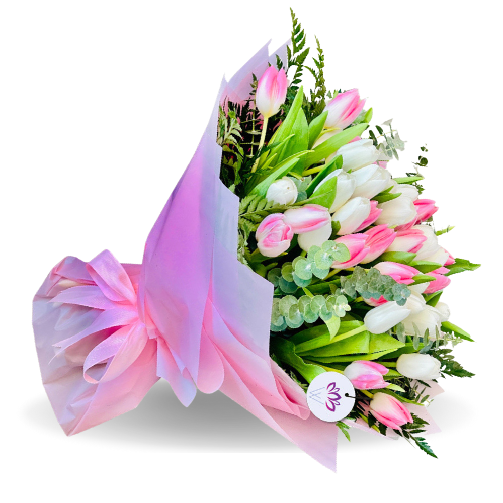 The Lost in Dream - 30 Tulips