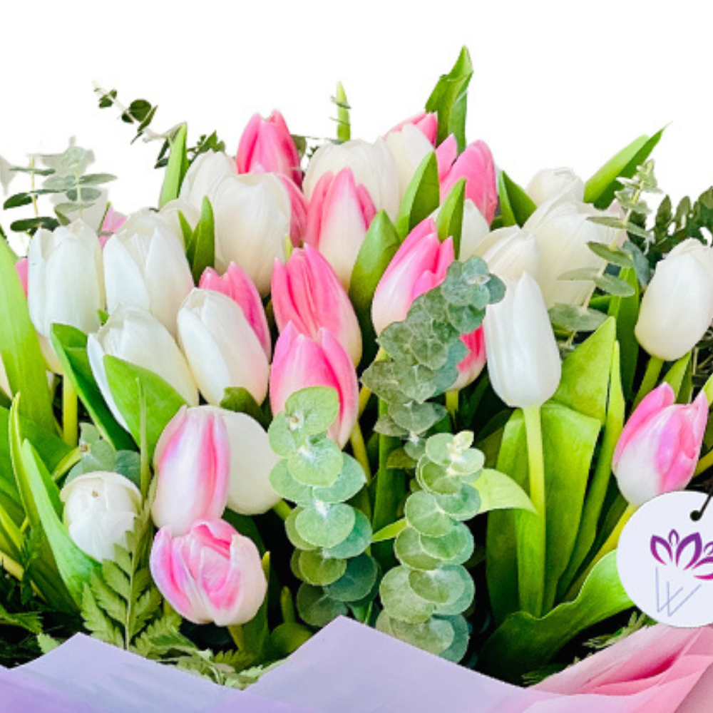 The Lost in Dream - 30 Tulips